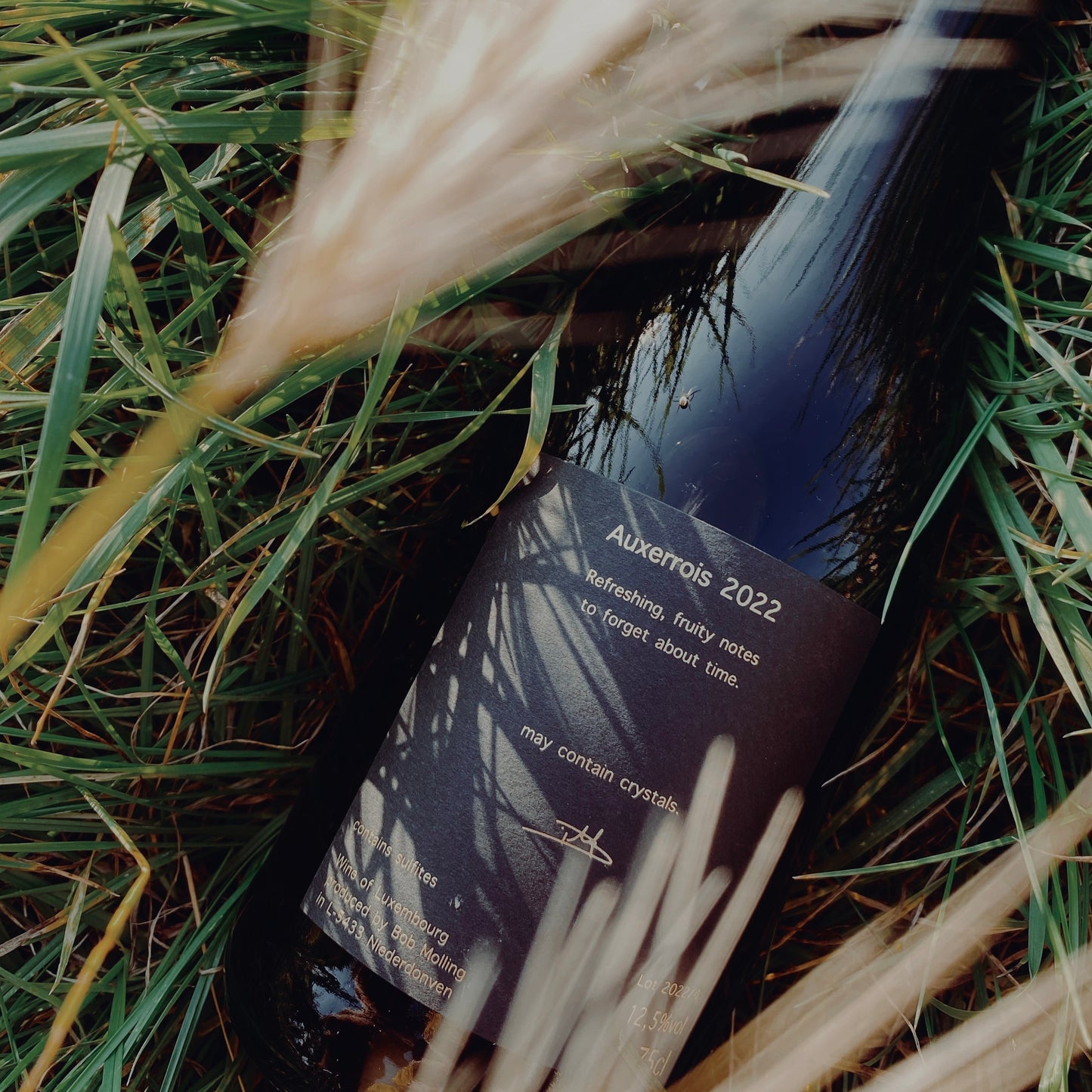 Auxerrois 2022 (6 bottles)