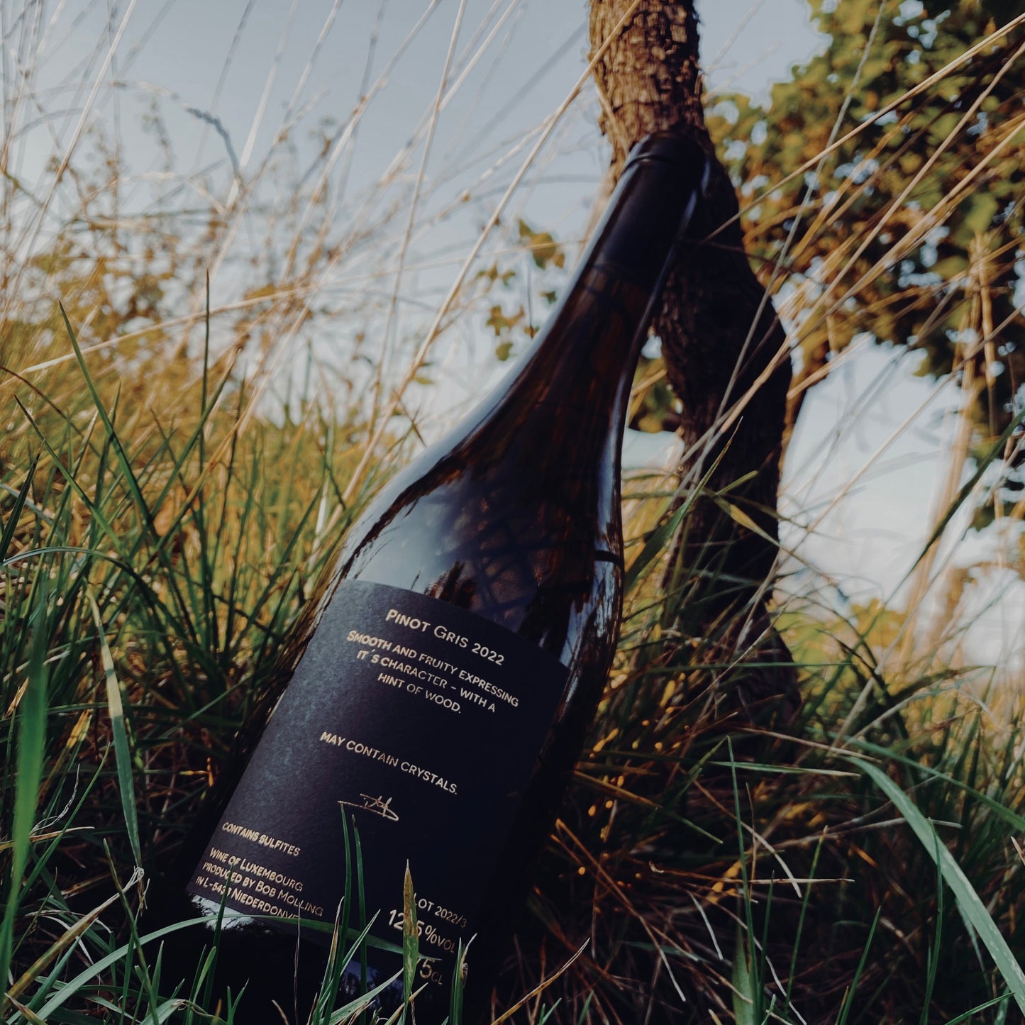 Pinot Gris 2022 (6 bouteilles)