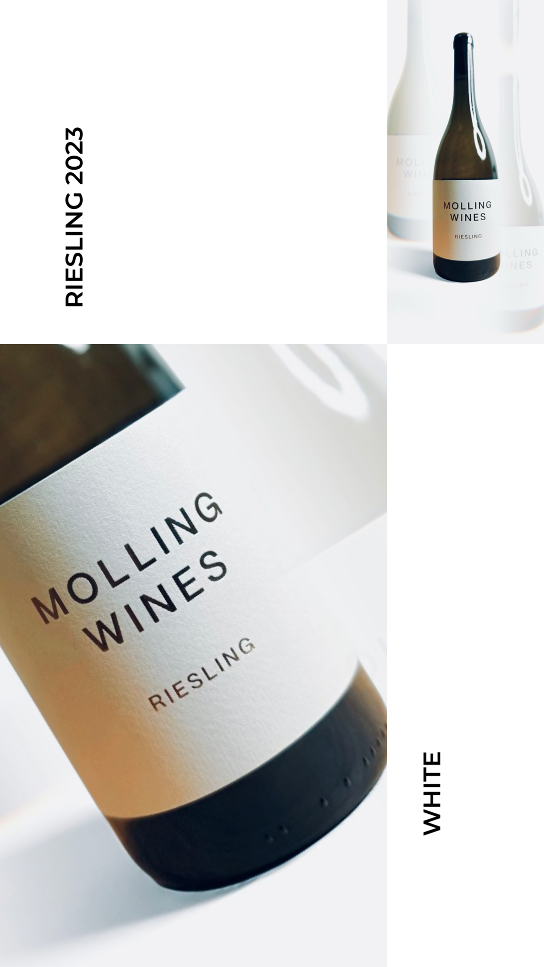 Riesling 2023