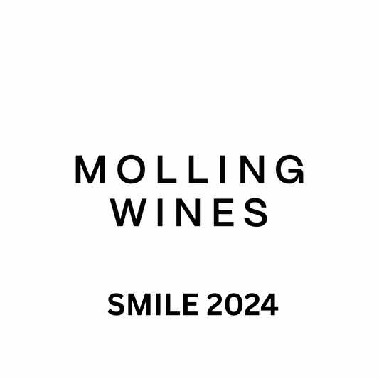 :) Smile 2024 (6x)